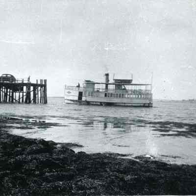 Steamer Gurnet