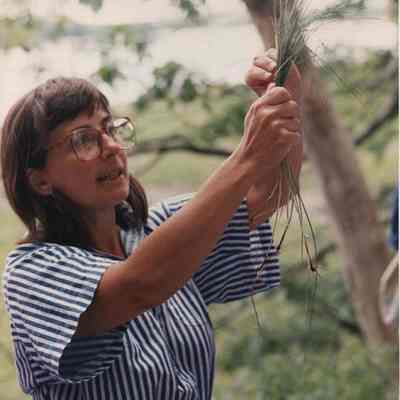 A photo view of a woman checking some grasses. 6/30/1989