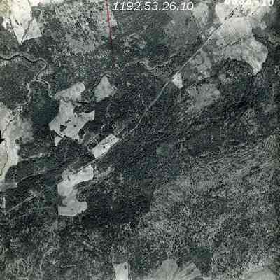An aerial photo of Brunswick. 5/4/1953