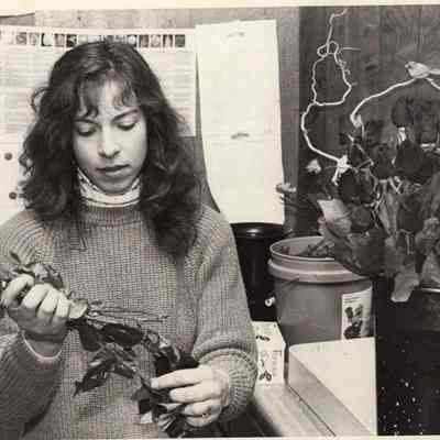 A photo view of Pam Sherman.
