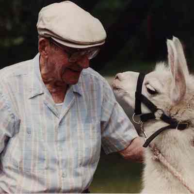 A photo view of a man and a Llama. 6/15//1989.