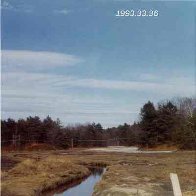 A photo of the Adams Road Marsh. 3/1973.