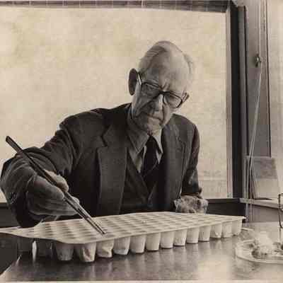Dr. O. Currier McEwen, 1982