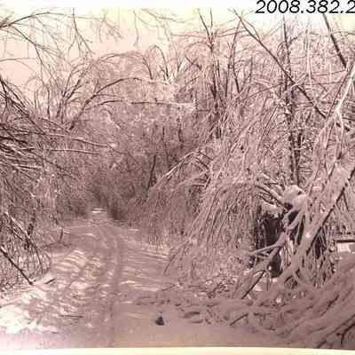 Woodlawn Road