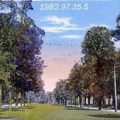 A picture postcard of the Mall.