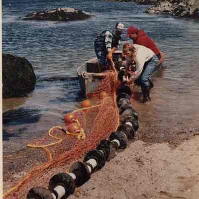 A photo view of 3 men loading a net into a skiff. 5/19/1992