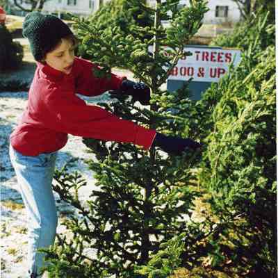 Unknown child and tree