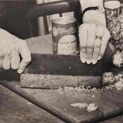 A photo view of Jan Wilk chopping green onions. 6/1/1981.