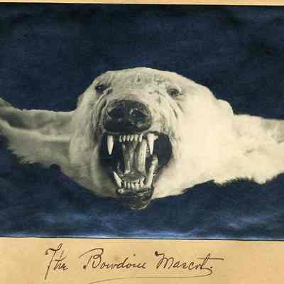 Bowdoin College Mascot