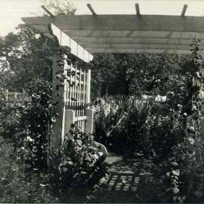 Prudy Morrell's Garden