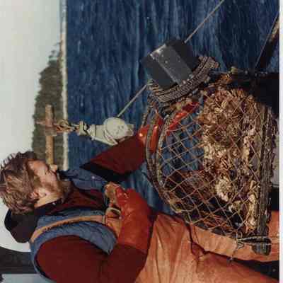 A photo view of a fisherman with a trap full of crabs. 1/16/1990.