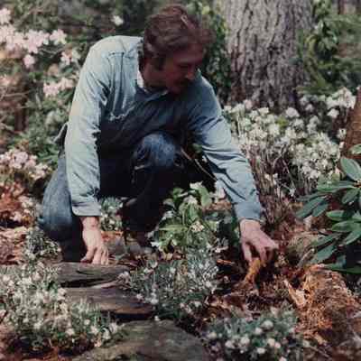 A photo view of a man working in a flower garden. 6/12/1989.