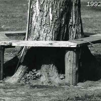 A photo of a bench around a tree.