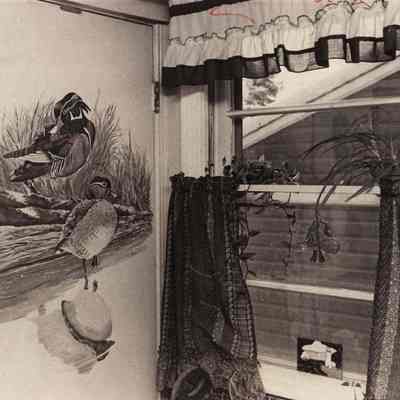 A photo view of a painting of ducks. 1/19/1981