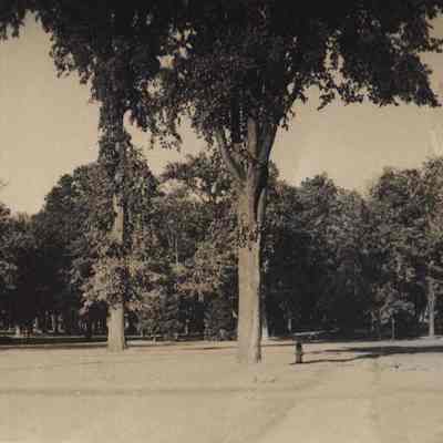 A postcard of Bowdoin College campus.