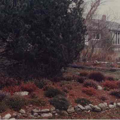 A photo view of a landscape scene. 10/3/1988.
