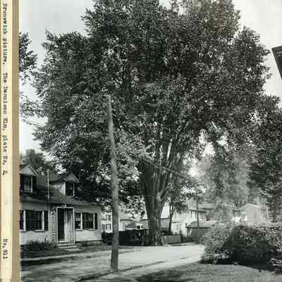 Dennison House and Elm