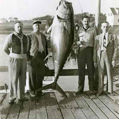 Fish at the Tuna Fish Club of Bailey Island