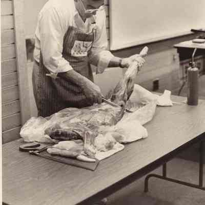 A photo view of a man cutting up a piece of meat. 11/19/1992.