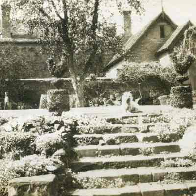 Dorothy' Dennison's Garden