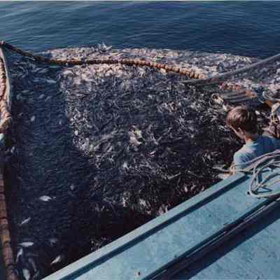 A photo view of two fishermen at Lowell Cove. 4/8/1992