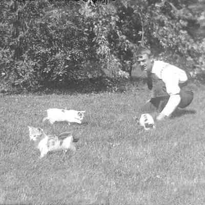 Unknown Man Playing with Three Cats