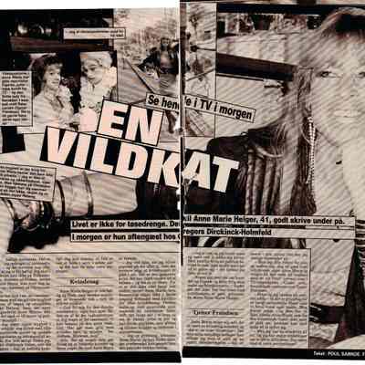 En vildkat