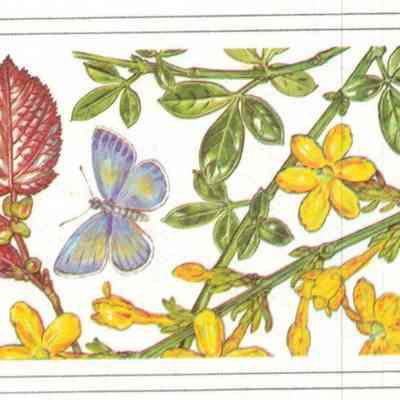 Kære Anne Marie Helger