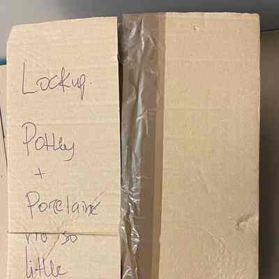 Fine porcelain and plate (1 box)