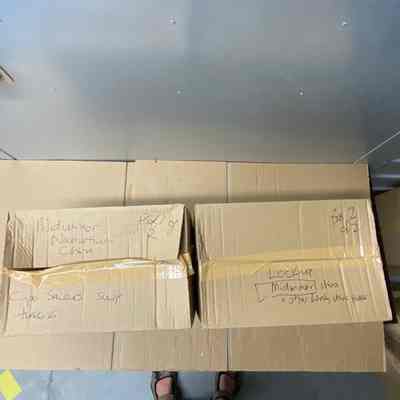 Mid-winter china (2 boxes shown separately)