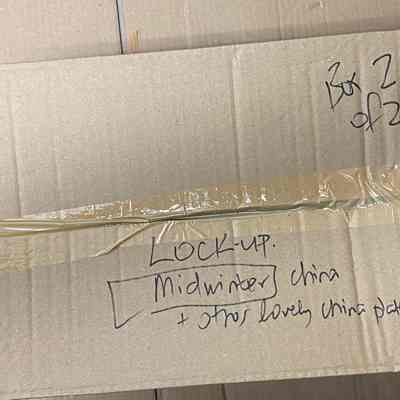 Mid-winter china (box 2 of 2)