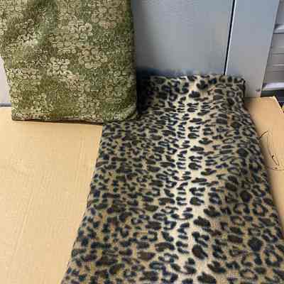 Material (Audrey?) and cushion