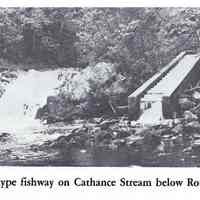          Denil type Fishway on the Cathance Stream below Route 86
   