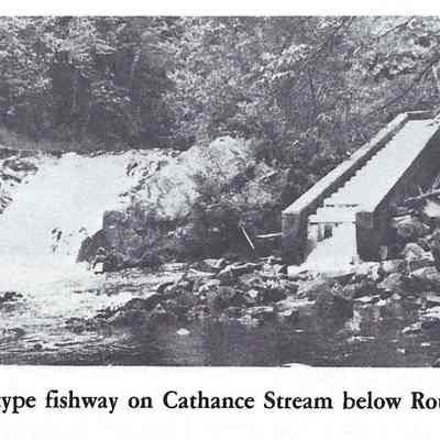 Denil type Fishway on the Cathance Stream below Route 86