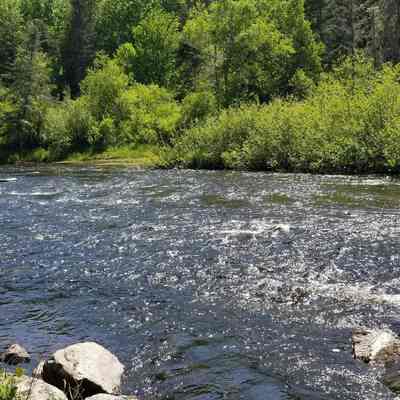 Fisher's Stump Pool on the Dennys River