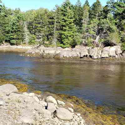 Site of Robert Wilson's Tide Mill, and later the Dennysville Tide Mill Company, on Hardscrabble River.