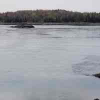          Tidal flow through the Reversing Falls into the Dennys Bay, Maine
   