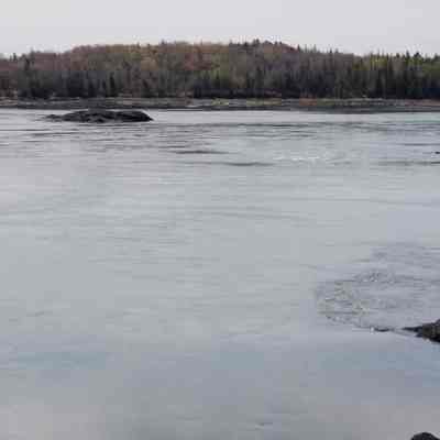 Tidal flow through the Reversing Falls into the Dennys Bay, Maine