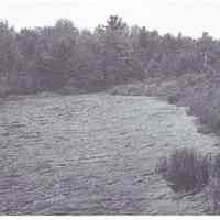          Mouth of Cathance Salmon Pool in 1988; Reproduced from 