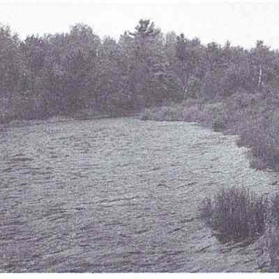 Mouth of Cathance Salmon Pool in 1988: Reproduced from "Salmon on the Dennys, 1786-1988", by Ed Bartlett and Ray Robinson.