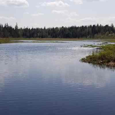 Meadow Brook flowing in spring, Dennysville, Maine: The flowage of Meadow Brook as seen from the Shipyard Road in Dennysville, Maine.