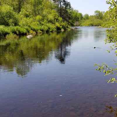 The Stretch on the Dennys River