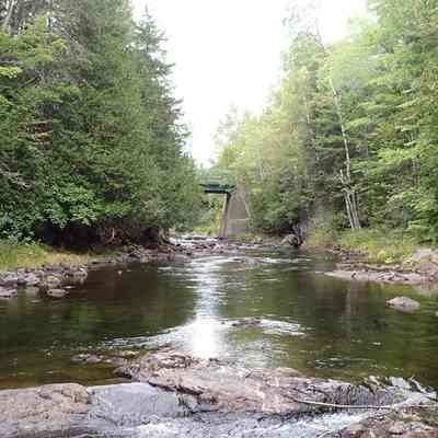 Audubon's Dam Site on the Dennys River