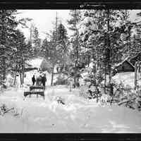          Lumber Camp; Empty bob sleds arrive at a winter logging camp in the woods along the Dennys River.
   