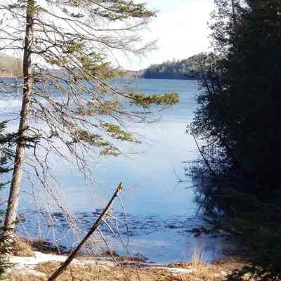 Bosworth Cove, Shipyard Road, Dennysville, Maine: View of Bosworth Cove named after a nineteenth-century resident on Hinkley Point.