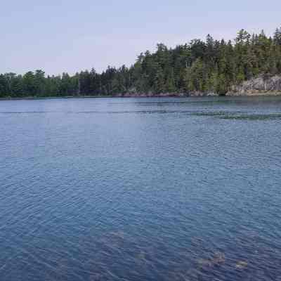 Hallowell's Island, Edmunds, Maine