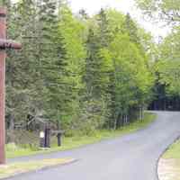 Cobscook Bay State Park