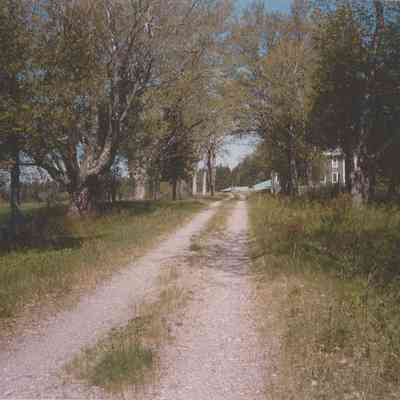 Lincoln Farm Drive in 1991: The farm drive lined with maple and cedar trees described by Nellie in "Childhood Memories."
