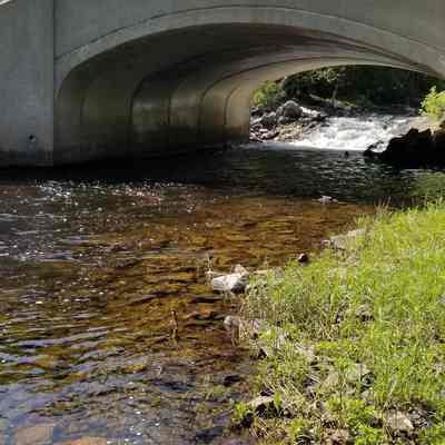 The Cathance Stream flows under Route 86 in Marion, Maine