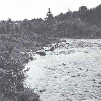 Fisher's Stump Pool on the Dennys River, about 1985: Reproduced from "Salmon on the Dennys, 1786-1988", by Ed Bartlett and Ray Robinson.